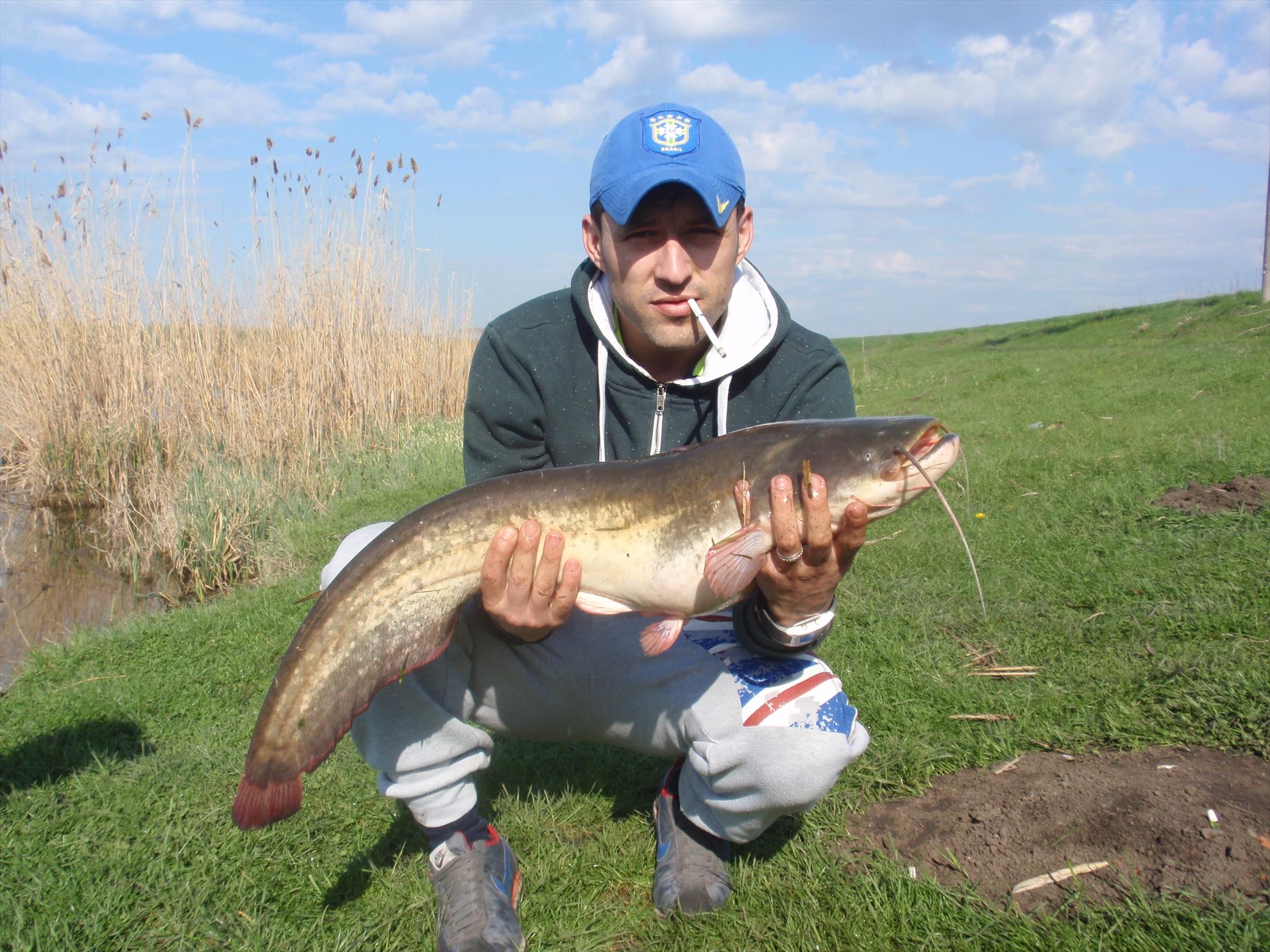 Din viata noastra... - p41400561.JPG